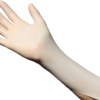 Powder Free Latex Gloves