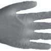 Vinyl Gloves