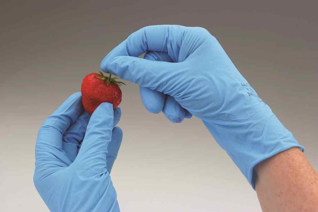 Blue Latex Powder Free